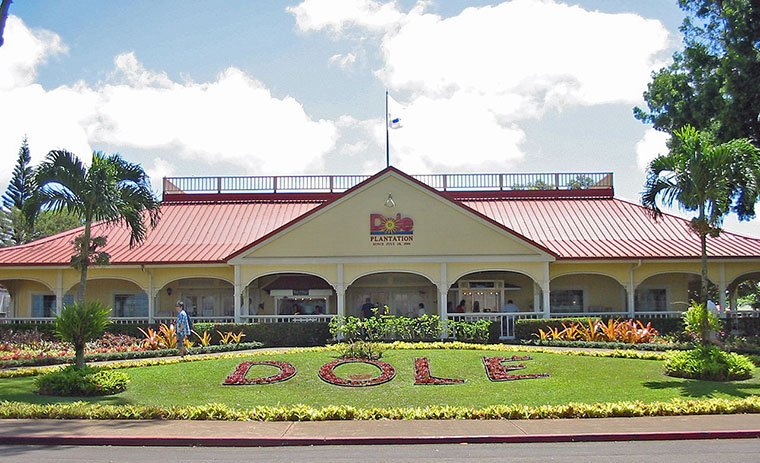 dole_plantation