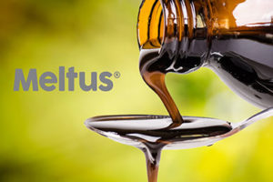 Meltus Social Moms – a doua intalnire dintre mamici cu discutii despre pitici!